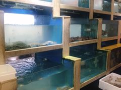 -丰收渔港饭店(嵊泗店)