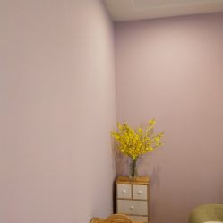 -纤姿俪纳产后恢复连锁机构(世纪东方广场店)