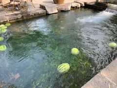 -百脉泉景区