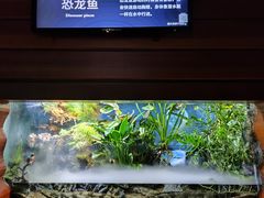 -太平洋海底世界