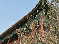-盛世南宫影视城(北普陀影视城)