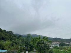 -广州市帽峰山景区