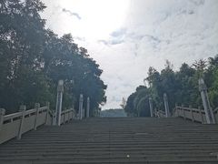 -铁山坪森林公园