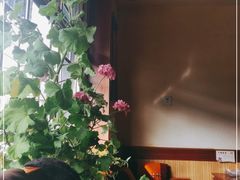 -桑定老厨房藏餐吧(西藏自治区拉萨市丹杰林巷店)