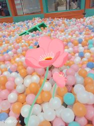 -龙小湖探索乐园 Little Hoo Galaxy(龙湖重庆金沙天街店)
