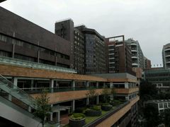 -香港大学