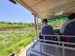 -青藏高原野生动物园