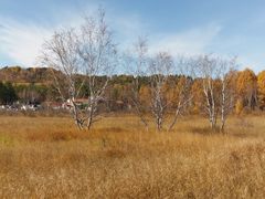 -塞罕坝国家级自然保护区