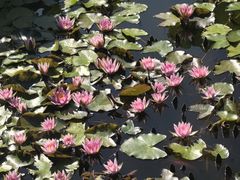 -国家植物园南园