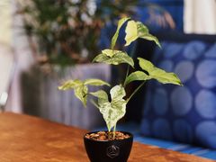 -argangKaffe(宝庆路店)