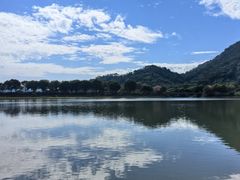 -风云岭森林公园