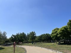 -塘沽森林公园