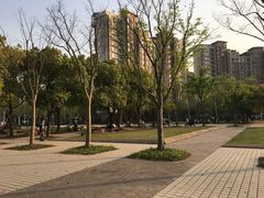 -新江湾城公园