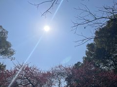 -杭州植物园