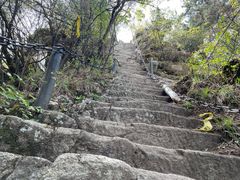 -太平万花山景区