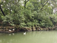 -兰亭风景区
