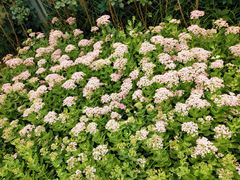 -长辛店二七公园