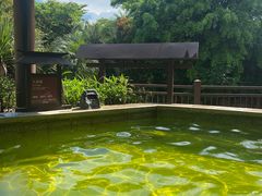 -清远熹乐谷温泉度假酒店