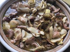 -东巴谷野生菌火锅餐厅