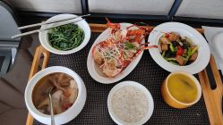 -臻康乃馨月子中心(集美店)