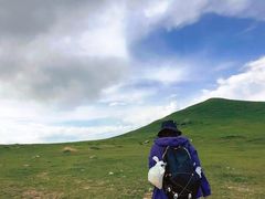 -灵山