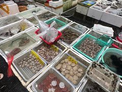 -外伶仃岛海鲜市场