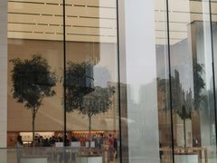 -Apple零售店(苏州店)