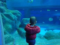 -威海华夏城景区