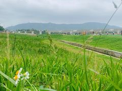 -光明小镇欢乐田园