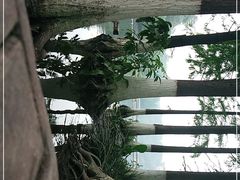 -重庆彩云湖湿地公园