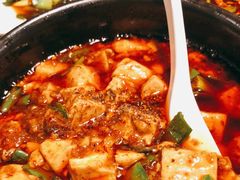 -陈麻婆豆腐总店