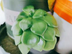 -蕾特恩专业祛痘·皮肤管理