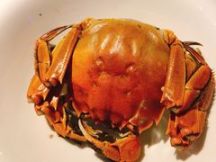 -蟹榭(静安寺晶品商场店)