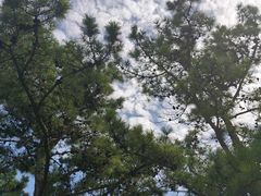 -泊石湾海滨浴场
