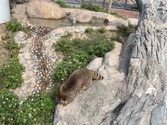 -灵玲国际马戏城