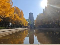 -玲珑塔公园