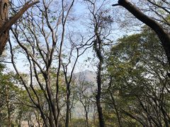 -紫金山天文台