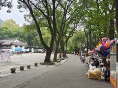 -上海佘山国家森林公园天马山园