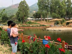 -泉州海丝野生动物世界