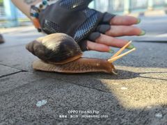 -海口滨海新村143号海南老字号炒菜店