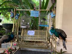 -西双版纳融创皇冠假日度假酒店