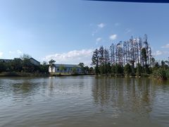 -上海长兴岛郊野公园