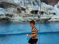 -帝企鹅自助餐厅•儿童岛•真企鹅(长隆企鹅酒店)