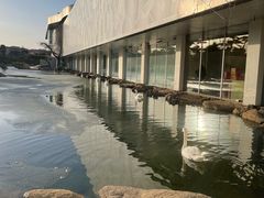 -好利来(上海虹桥新天地Lab主题店)