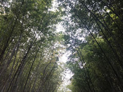 -穹窿山景区