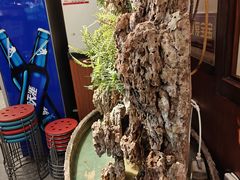 -成老灶火锅鸡(平山店)