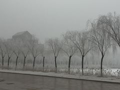 -南开大学滨海学院