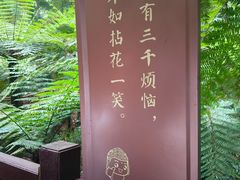 -张公桥美食街