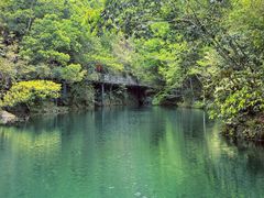 -石台牯牛降景区