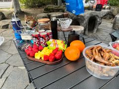 -铁山坪森林公园